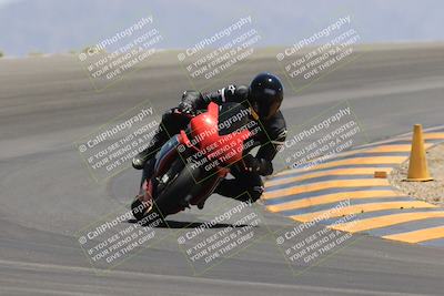 media/May-14-2023-SoCal Trackdays (Sun) [[024eb53b40]]/Turn 12 (1145am)/